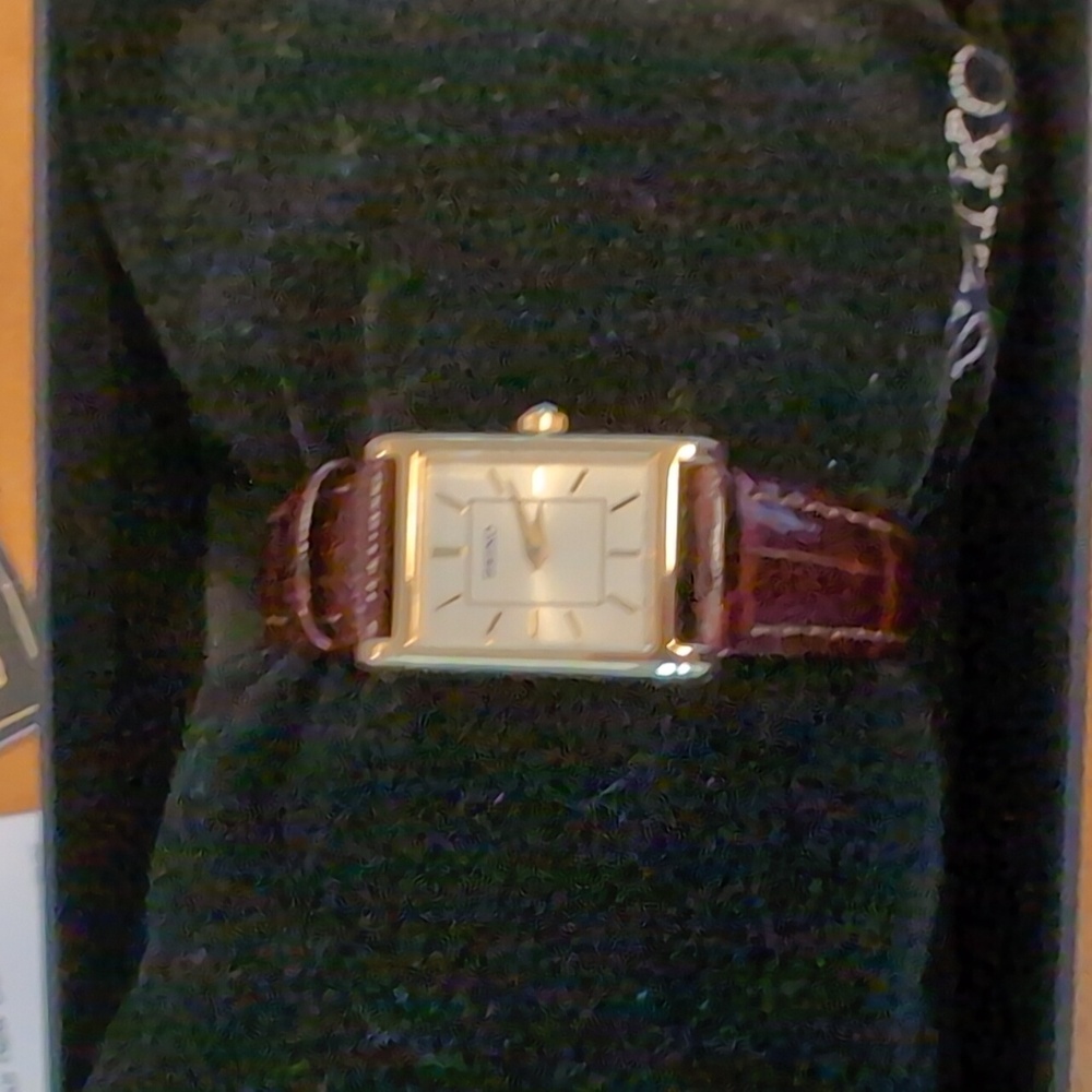 Seiko Gold and Brown Leather Watch
